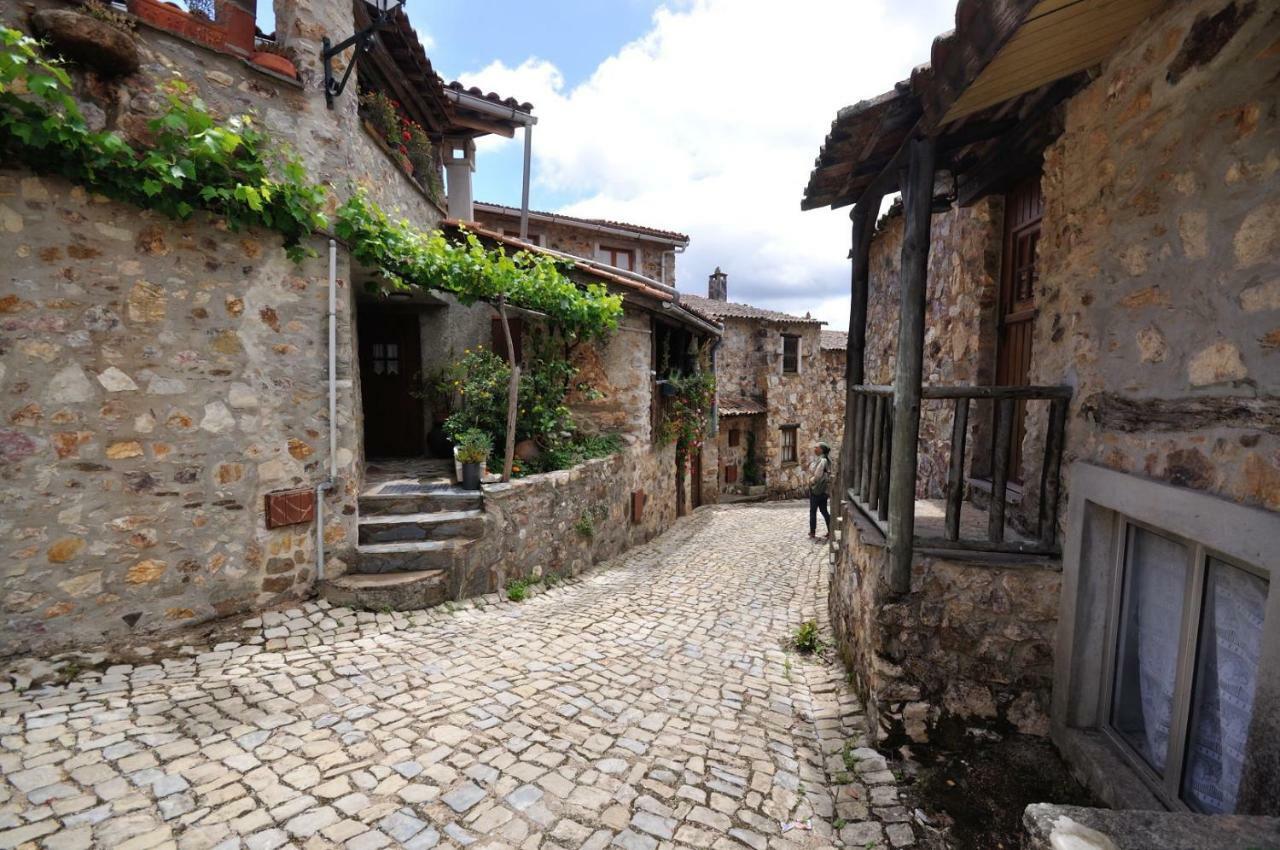 Casa Do Olival Villa Figueiro Dos Vinhos Exterior photo